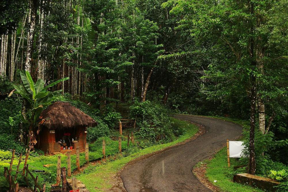 bhagwan mahaveer wildlife sanctuary goa