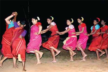 Wildernest Activities