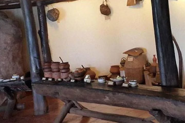 Wildernest Activities