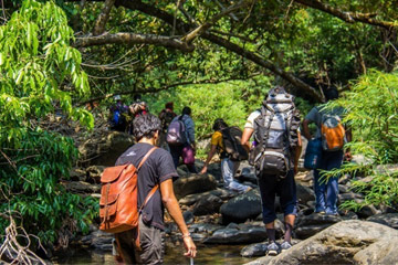 Wildernest Activities